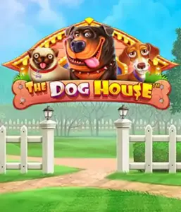 От Pragmatic Play представлен The Dog House, демонстрирующий прекрасное путешествие с игривых щенков. Наслаждайтесь функциях включая бесплатные вращения, направленных на предоставления радостных моментов. Обязательно для тех, кто любит легкую атмосферу и возможностью выиграть крупно.